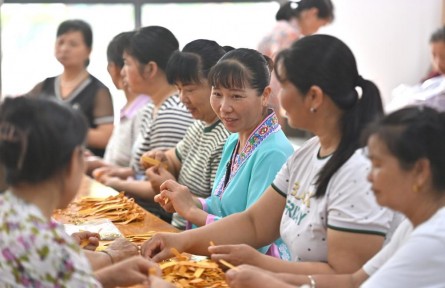 新華時(shí)評(píng)：一張藍(lán)圖繪到底——“解碼中國打贏脫貧攻堅(jiān)戰(zhàn)的世界意義”系列評(píng)論之二