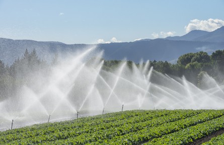 科技名詞|灌溉定額 irrigation quota