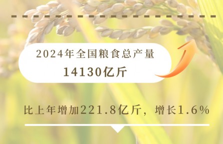 九個維度看2024農(nóng)業(yè)領(lǐng)域交出亮眼成績單