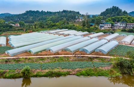 結對蹲點 與榜樣同行|何波：干群一致，沒有辦不好的事