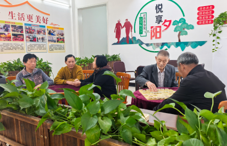 養(yǎng)老服務改革 reforms in eldercare services