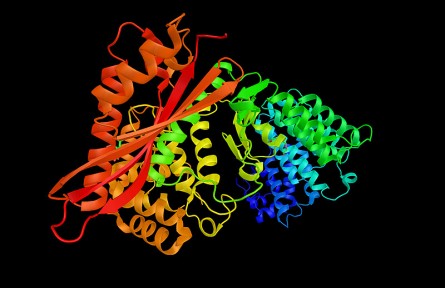 科技名詞|膠原酶 collagenase